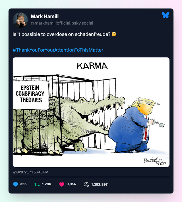 Bluesky screenshot example